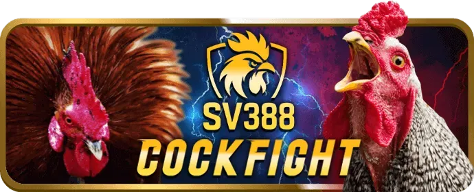 Bước 3: Cài đặt và mở ứng dụng alo88 nhà cái